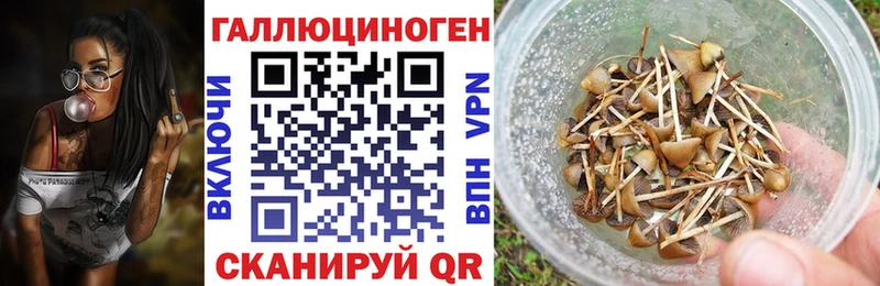 ОМГ ОМГ онион Апшеронск Псилоцибиновые грибы GOLDEN TEACHER